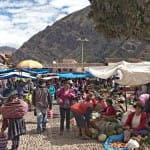 Market at Pisac with pisonay tree