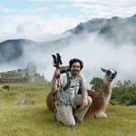 Llamas roam Machu Picchu now