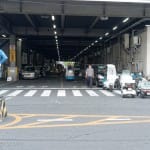 Traffic guard at the Tokyo Fish Market
