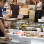 A shopper surveys some oysters at the Tokyo Fish Market