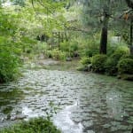 The "West Garden" at the Heian Jingu Shrine