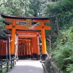 More torii gates at Fushimi Inari-taisha