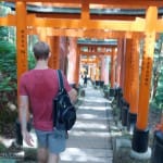 Heading back down through the torri gates from the main shrine at Fushimi Inari-taisha